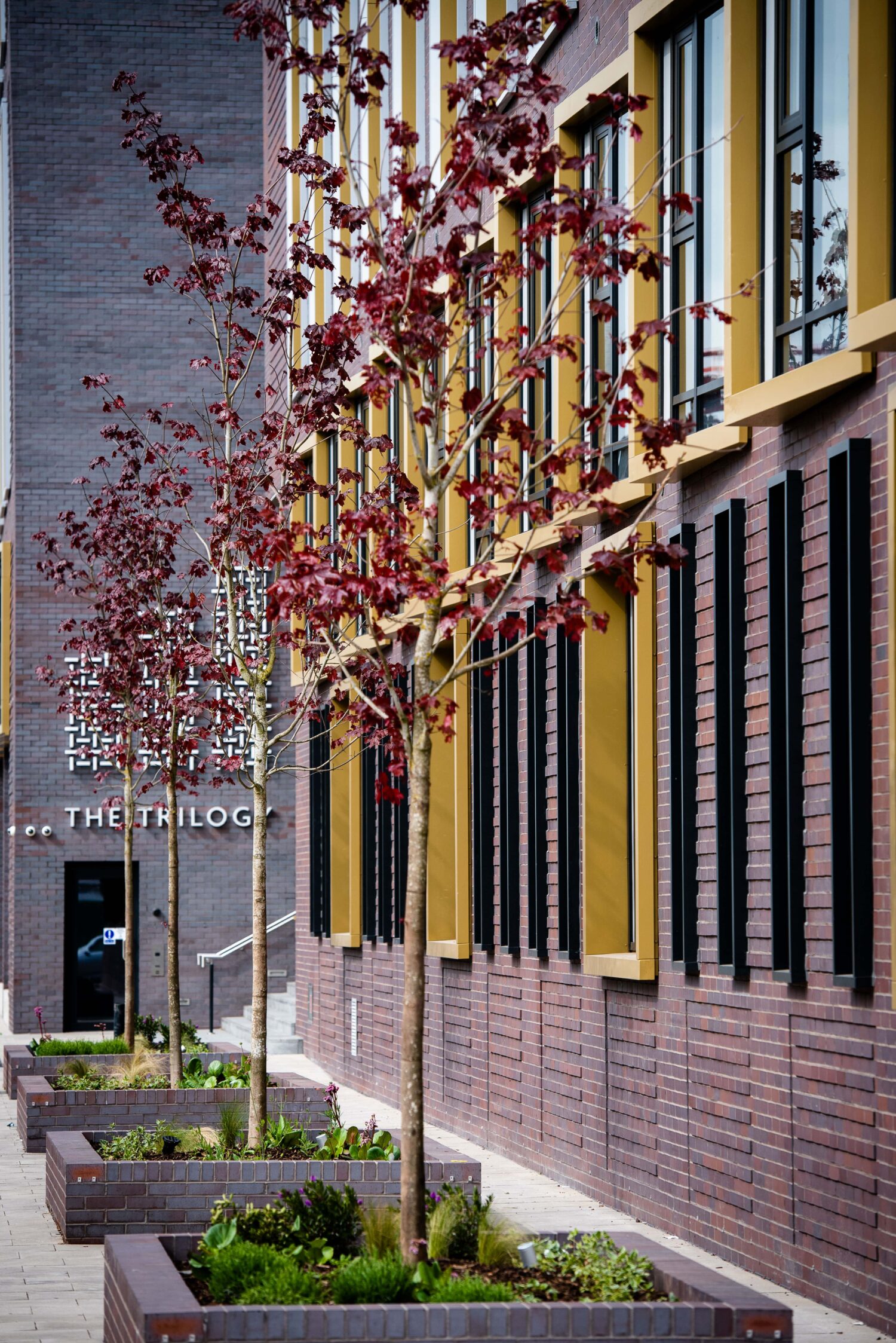 The Trilogy, Manchester - 232 home Build-to-Rent (BTR) apartment complex on a gateway site into the city.